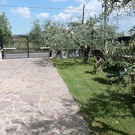 مارينو B&B Villino Lory المظهر الخارجي الصورة