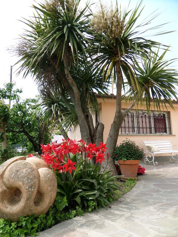 مارينو B&B Villino Lory الغرفة الصورة
