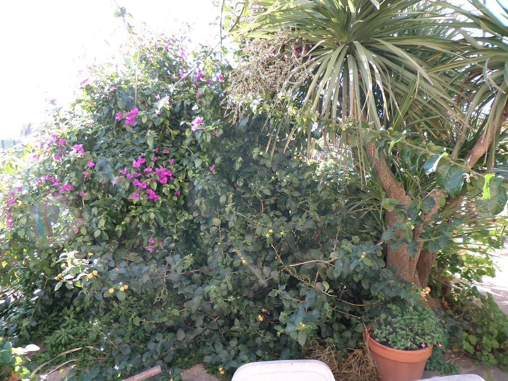 مارينو B&B Villino Lory المظهر الخارجي الصورة