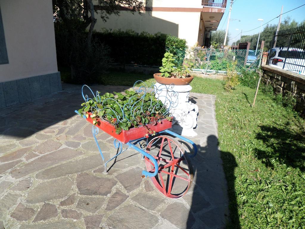 مارينو B&B Villino Lory المظهر الخارجي الصورة